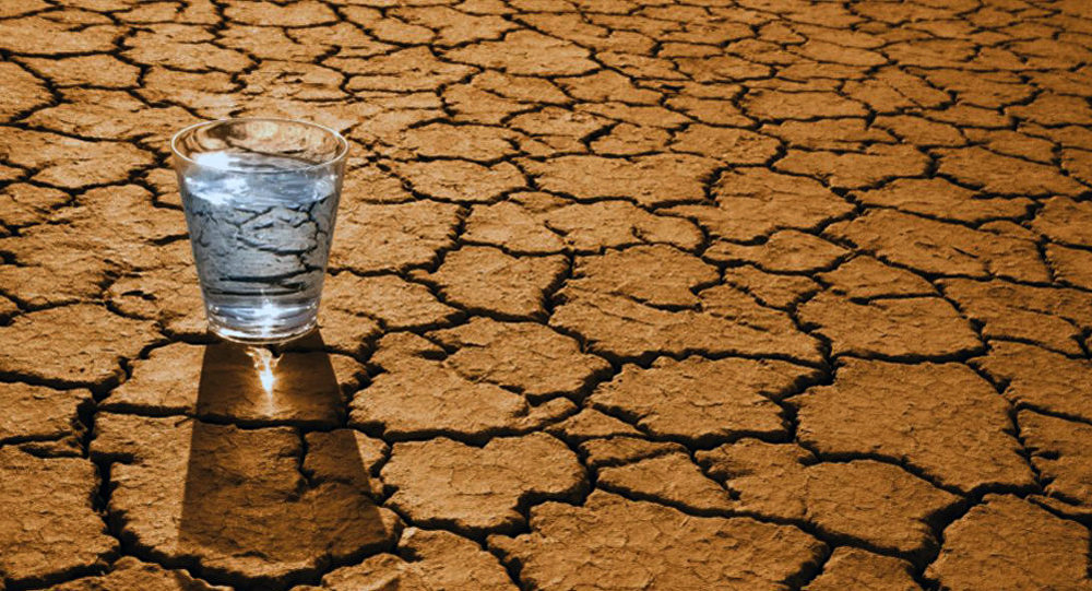 Страшенні посухи та імпорт питної води? Що робити, аби не перетворити Україну на пустелю