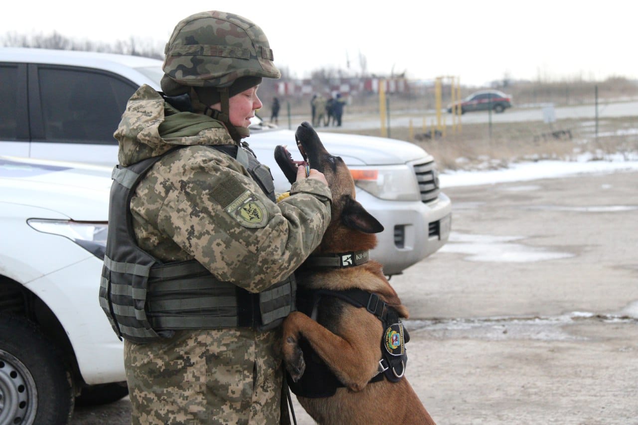 як собакі допомагають на службі Україні